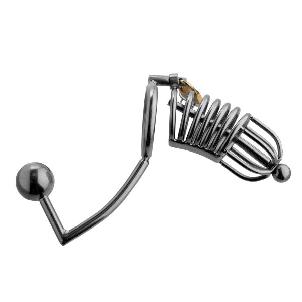 Condemned Penetration Cage with Anal Insertion - Image 3