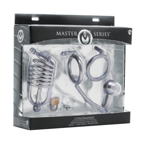 Condemned Penetration Cage with Anal Insertion - Image 7